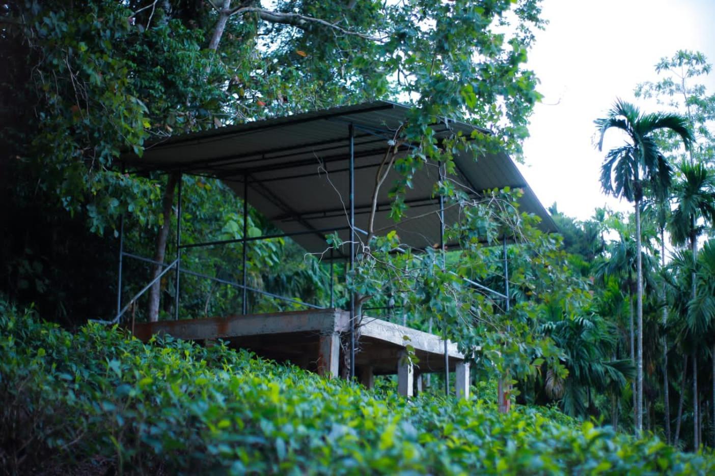 Rainforest Lodge, Deniyaya Singheraja 外观 照片