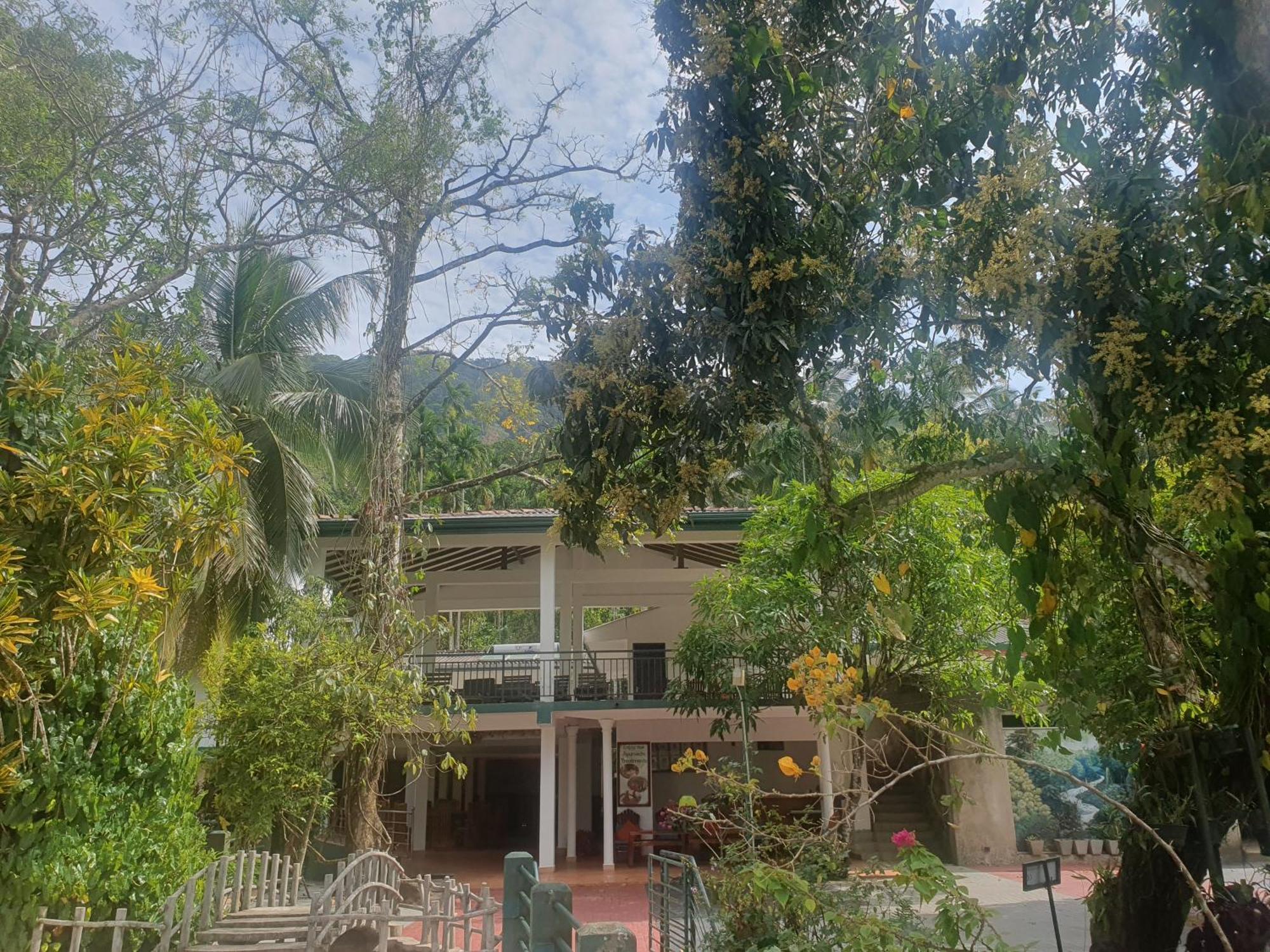 Rainforest Lodge, Deniyaya Singheraja 外观 照片