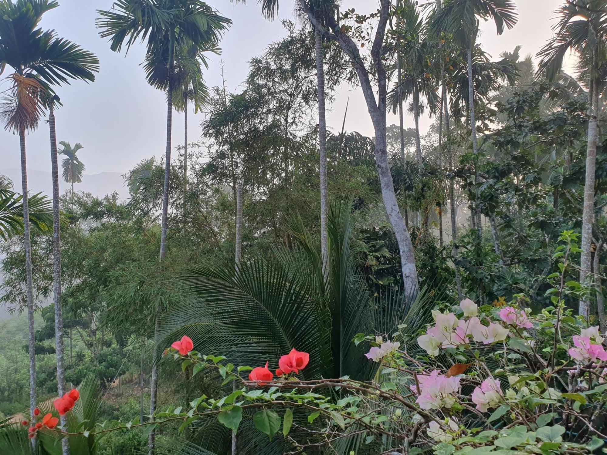 Rainforest Lodge, Deniyaya Singheraja 外观 照片