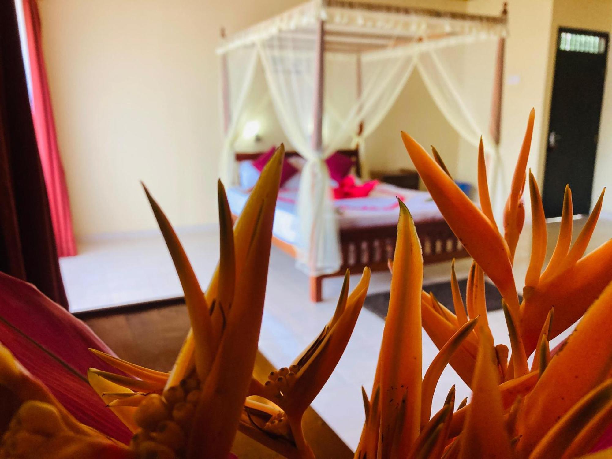 Rainforest Lodge, Deniyaya Singheraja 外观 照片