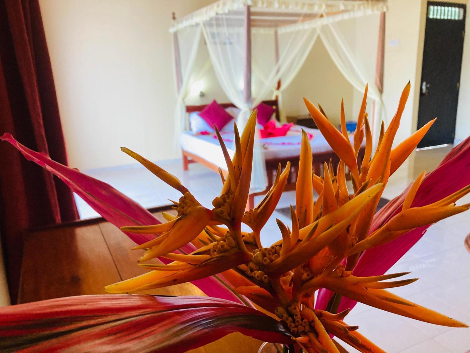 Rainforest Lodge, Deniyaya Singheraja 外观 照片